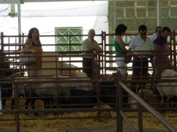 phoca_thumb_l_fotosnoviembre2012 2352